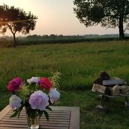 Apartamento Wolkenlos *